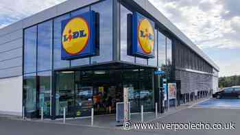 New £5 Lidl garden decoration 'adds atmosphere' similar to 'charming' £16 Dunelm