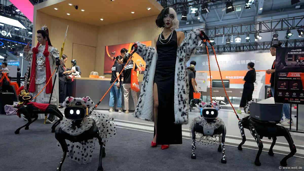„Im Moment ist die goldene Zeit der Robotik“