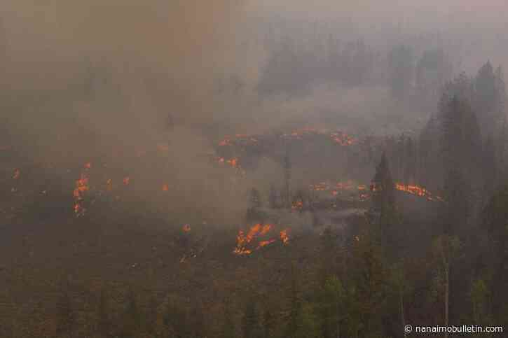 Difficult terrain, ‘stubborn fire behaviour’ causing challenges at Bald Range blaze near Summerland