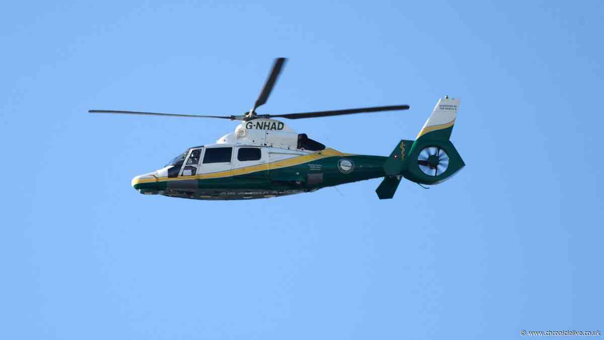 Tragedy as teenager dies after electric motorbike crash with van in Meadow Well