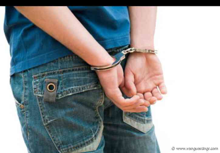 Lagos police detain Chinese national over alleged sexual assault of employee