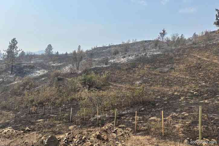 More than 50 BCWS members continue to battle Bradley Creek wildfire in Vernon