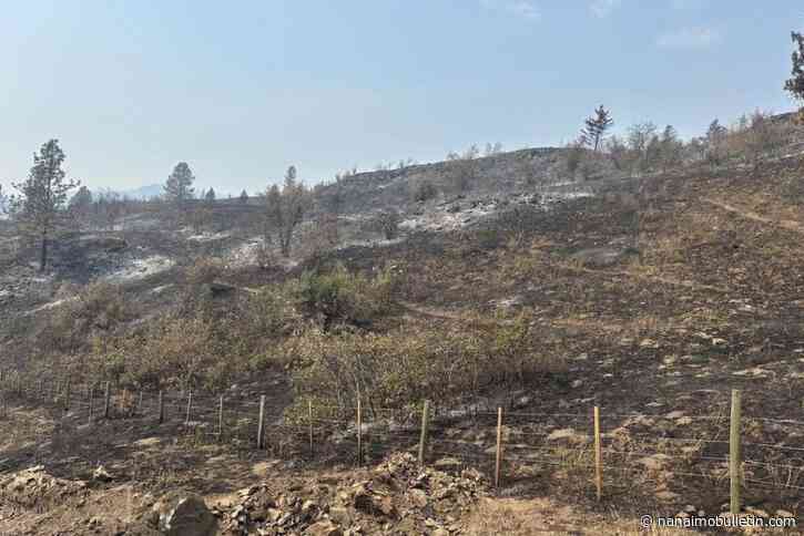 More than 50 BCWS members continue to battle Bradley Creek wildfire in Vernon