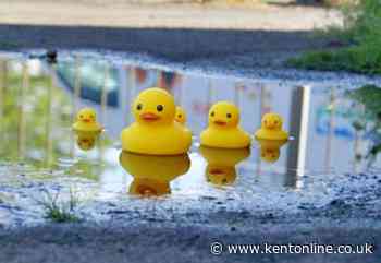 ‘For duck’s sake’: Engineer takes unusual stand against Kent’s persistent leaks