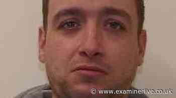 Man wanted back in prison as 'stalking and assault' probe launched