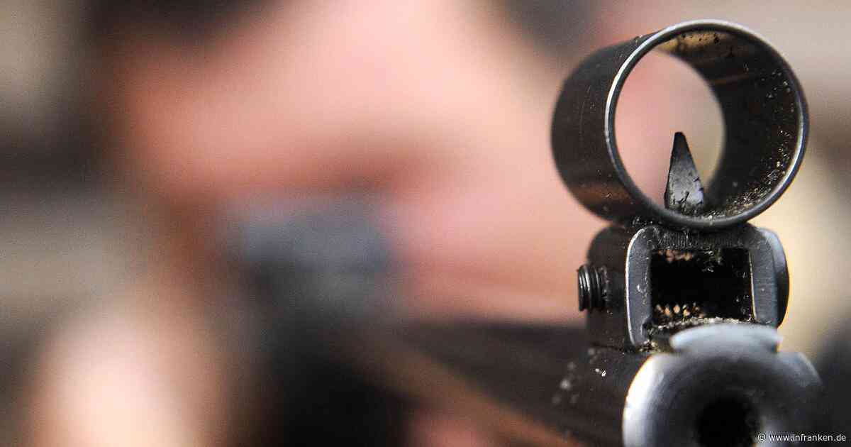Tierquälerei: Kater in Reckendorf offenbar mit Luftgewehr beschossen