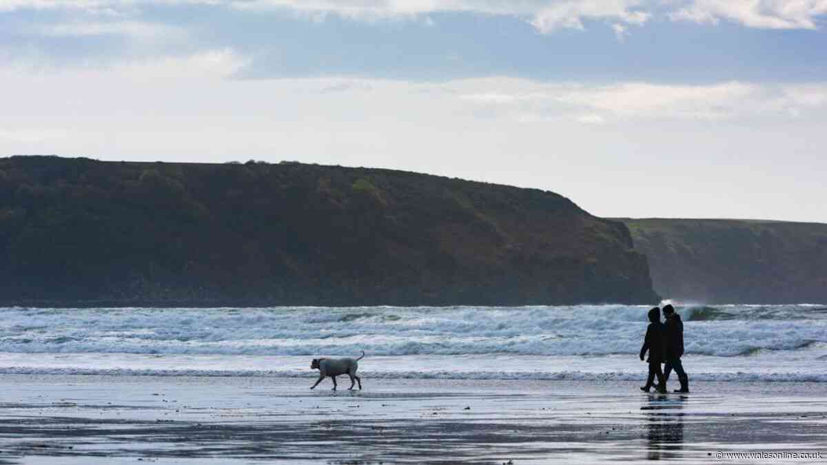 RSPCA issues 'danger' warning to general public about going to the beach