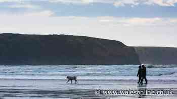 RSPCA issues 'danger' warning to general public about going to the beach