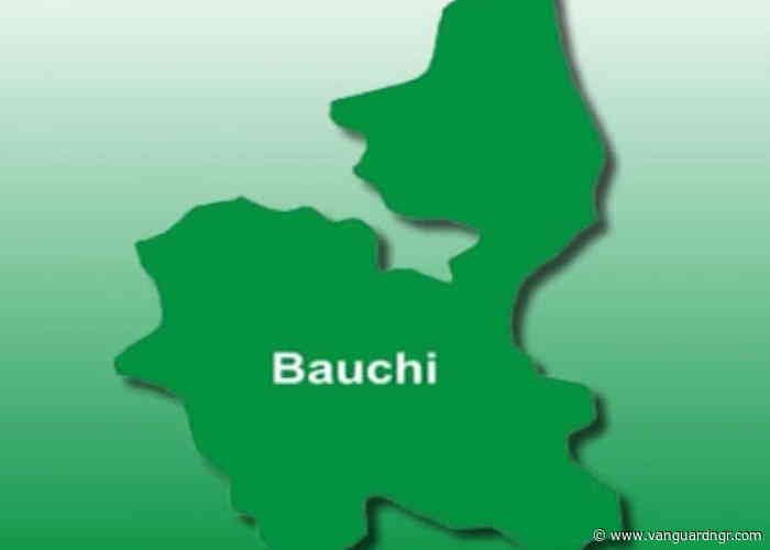 IPAC hails peaceful conduct of Bauchi LG elections