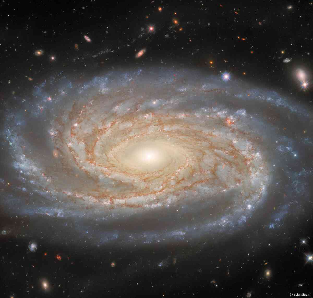 Vijftien uur kijken in het verre verleden: Hubble’s meesterwerk NGC 7038