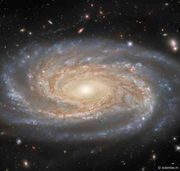 Vijftien uur kijken in het verre verleden: Hubble’s meesterwerk NGC 7038