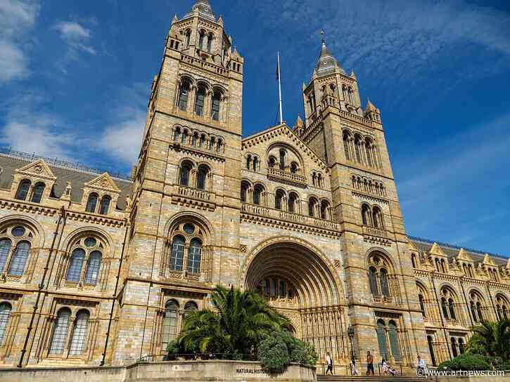 A Hidden Gallery at London’s Natural History Museum Reopens After 80 Years, Rediscovered Bernini Painting On View in Vienna: Morning Links for August 20, 2026