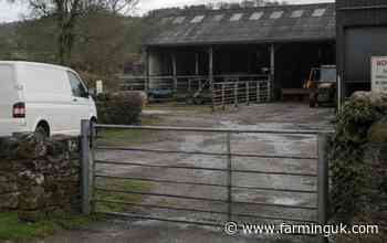 Farmers lose thousands as rogue trader reports rise