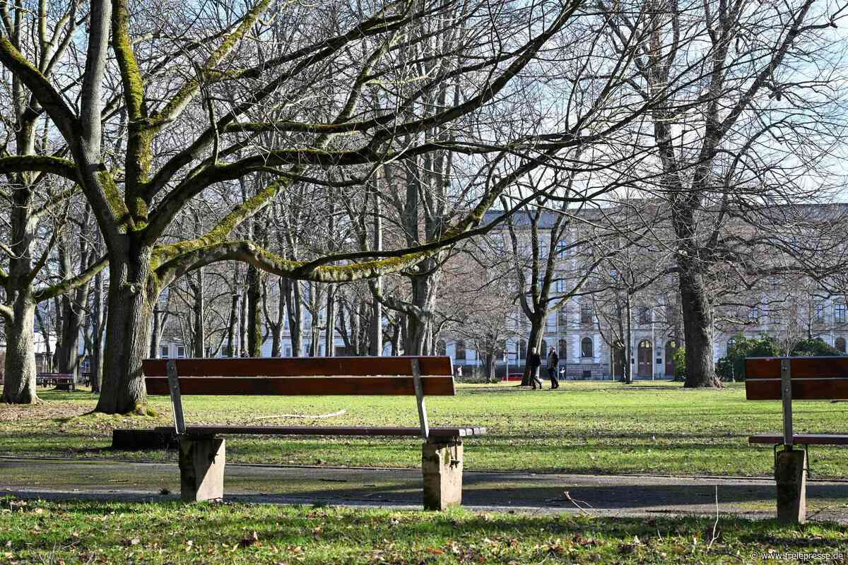 21-Jährige in Chemnitzer Park belästigt – Zwei Männer greifen ein
