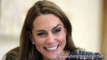 Inside their dream jobs: The unexpected careers of Princess Kate, Prince Harry, and more