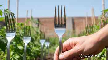 Dieser Gartentrick mit Gabeln im Beet sorgt für staunende Blicke