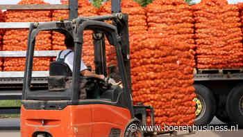 Uienexport bereikt in recordtempo 100.000 ton