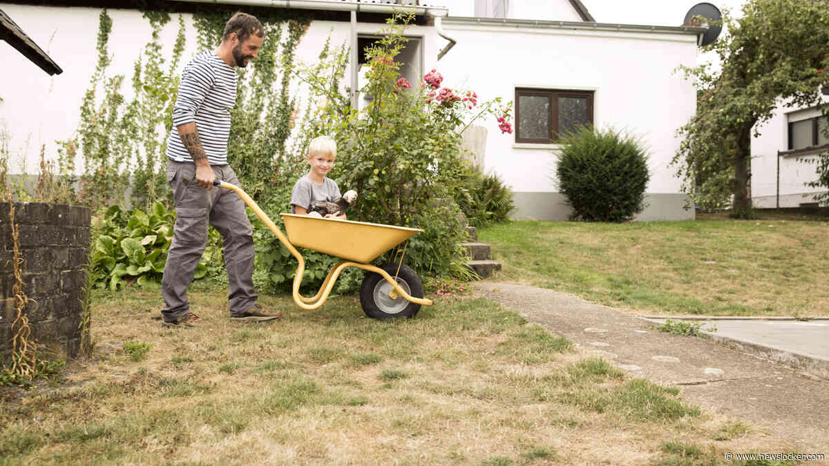 Te heet, te nat: hoe redden we ons geelgekleurde gras? Tuinexperts vertellen hoe zij het doen