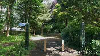 Manhunt launched after woman in her 40s raped in woodland near beach