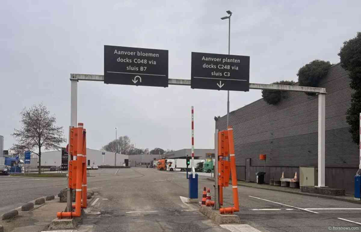 Asfaltwerkzaamheden Royal FloraHolland Aalsmeer van 24 augustus tot 7 september
