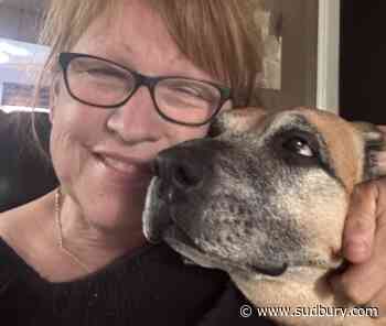 'She's our hero': Bear attack victim says her dog saved her life