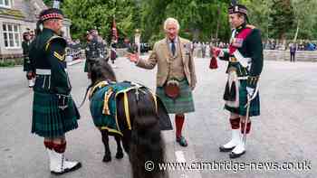 King Charles' brilliant response after Shetland pony nips at his hands