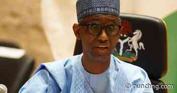 FG plans new survey on illicit arms