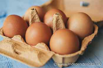 Salmonella outbreak: How can you check if your eggs are safe to eat?