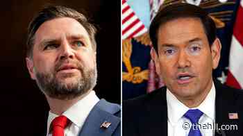 Rubio outperforms Vance in hypothetical 2028 match-ups: Poll