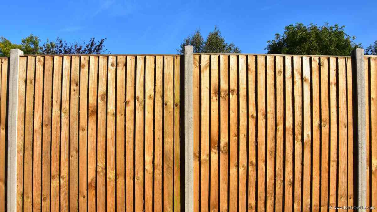 New homeowner baffled as neighbour demands hedges on shared fence but won't pay