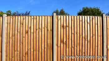 New homeowner baffled as neighbour demands hedges on shared fence but won't pay