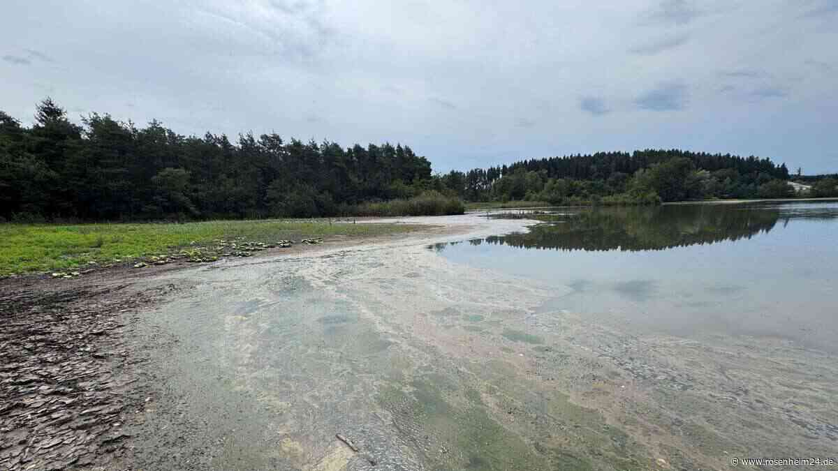 Blaualgen im Rinssee bei Söchtenau – Gesundheitsamt rät vom Baden ab