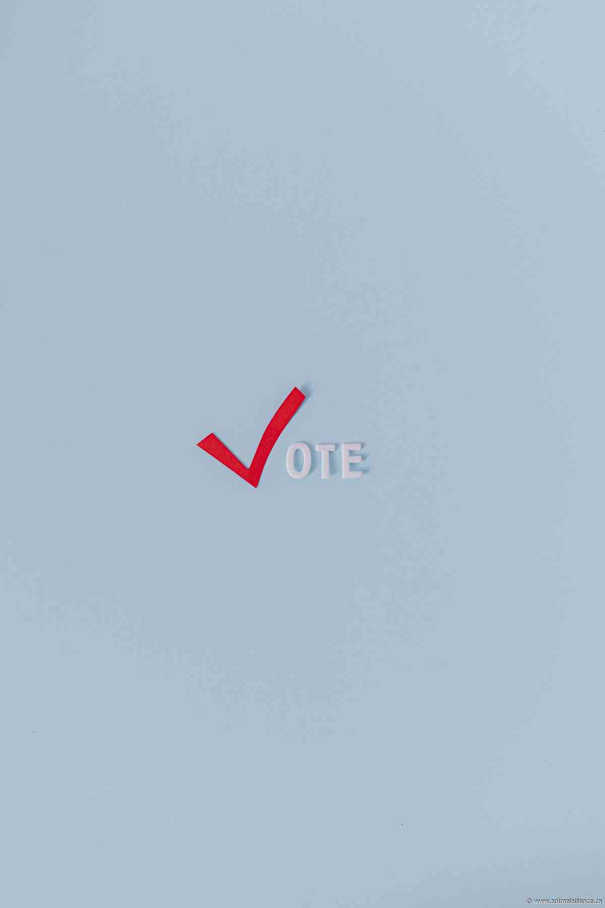 We are Seeking Advocates Residing in By-Election Ridings