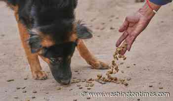 U.K. subscription dog food brand recalls meals over eye-injury reports