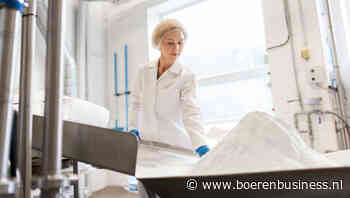 Melkpoeders nemen sterrenrol van room over