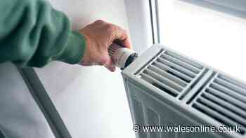 DWP confirms 4 groups 'not eligible' for 2026 winter fuel payment even if meet age rule