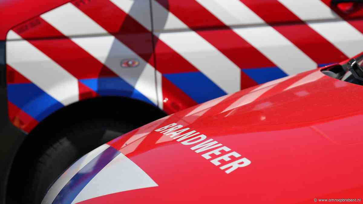 Uitslaande brand in stal in Zevenbergen
