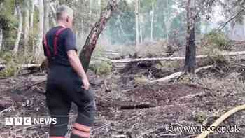 Nature reserve fire continues to burn underground