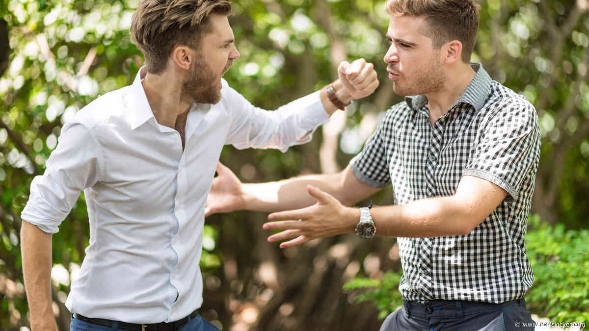 Familiebotsingen op vakantie: ’Gaan mijn broers serieus op de vuist om op de mooiste plek van de camping te staan?’