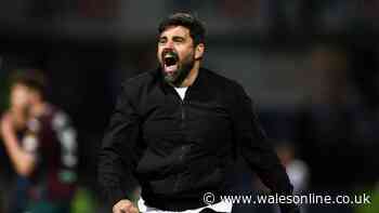 Swansea City boss makes feelings clear on transfers amid £30m Vipotnik claim