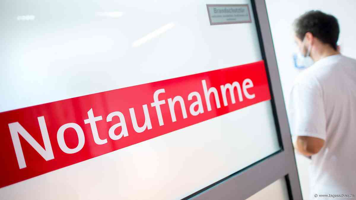 Hitzetote in Deutschland: Warum Experten mehr Prävention fordern