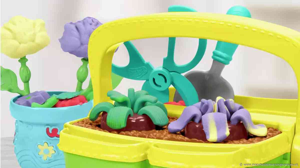 Play-Doh is usually for kids - but its new £7 flower kit is a hit with adults