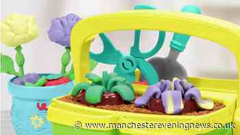 Play-Doh is usually for kids - but its new £7 flower kit is a hit with adults