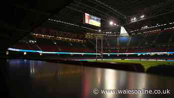 Welsh rugby cannot afford to be so precious about who saves it