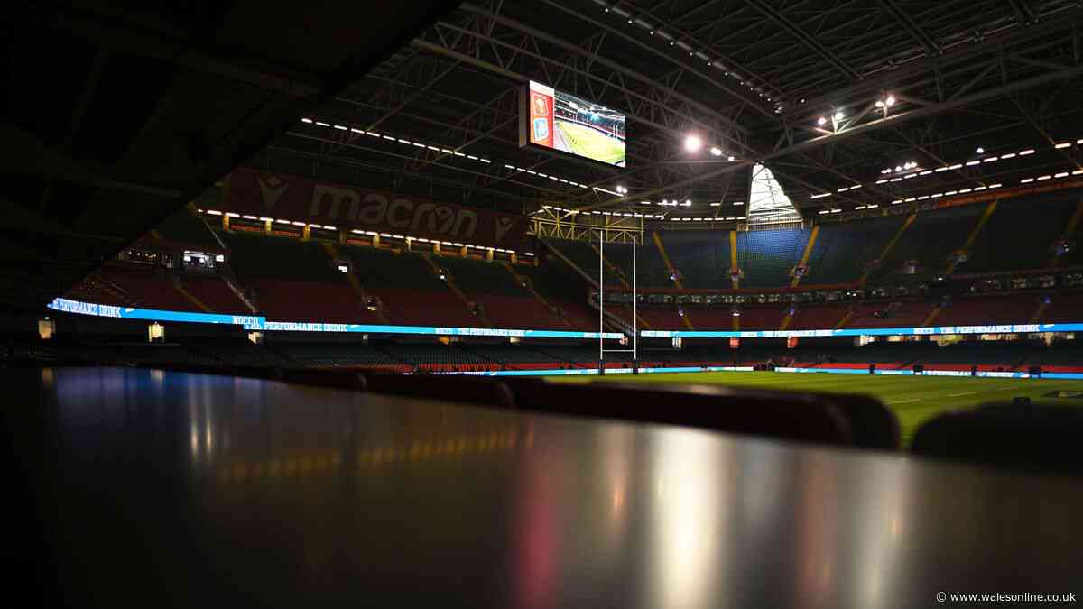 Welsh rugby cannot afford to be so precious about who saves it