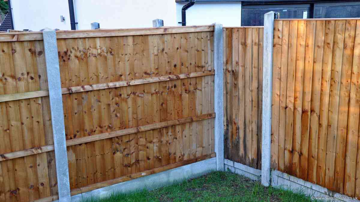 Homeowner stressed as 'entitled' neighbour demands he pays for hedges on shared fence