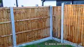 Homeowner stressed as 'entitled' neighbour demands he pays for hedges on shared fence