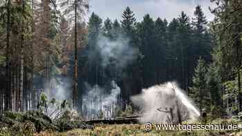 Waldbrand in Belgien nahe der deutschen Grenze unter Kontrolle