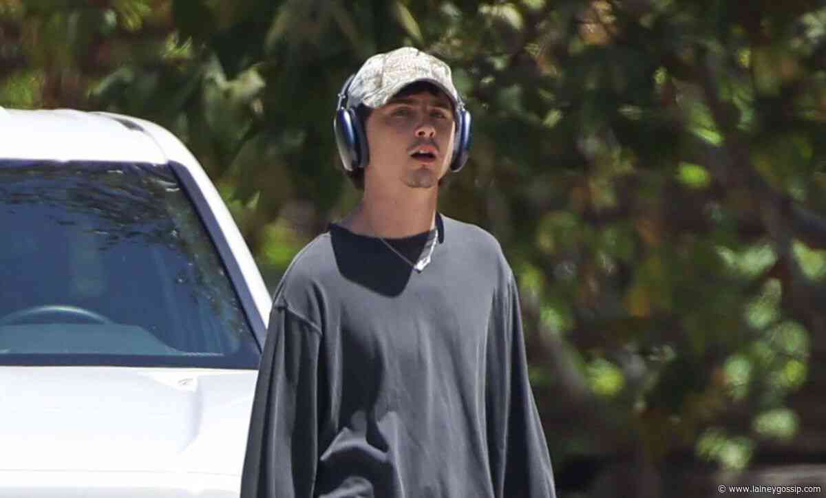 Timothée Chalamet: Duneman and movie concerts
