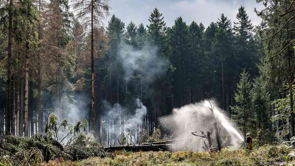 Waldbrand in Belgien nahe der deutschen Grenze unter Kontrolle
